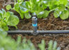 Gardena Micro-Drip-System T-koppling med spridarfäste 4,6 mm (3/16") x10