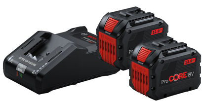 Bosch 2 x ProCORE18V 12.0Ah + GAL 18V-160 Batterisats